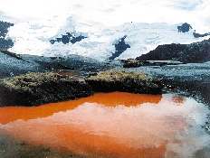 Apolobamba Cordillera, Bolivia,
red algae in pond. 
Bolivian Times is offline.